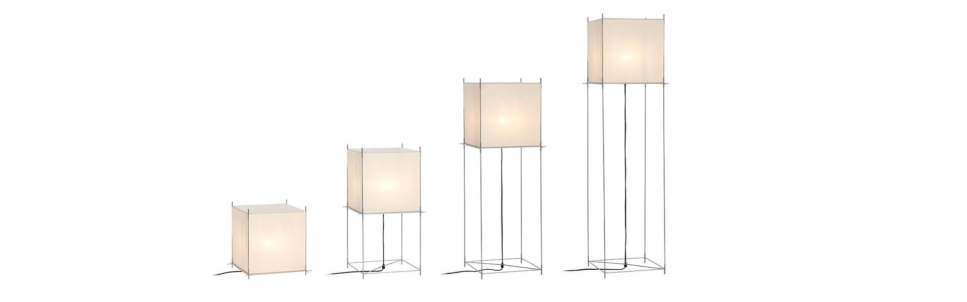 Hollands Licht