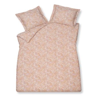VanDyck Apricot Blush