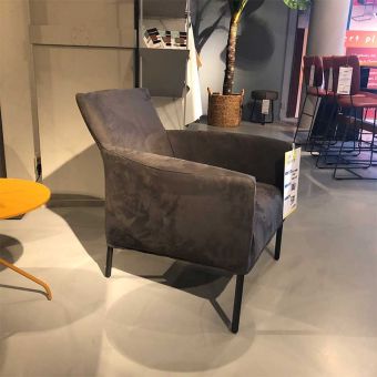 Bert Plantagie Kamelia