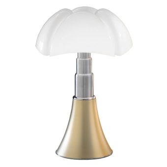 MHS_013066_PIPISTRELLO_3c4c3be57dff3b01df68f0fcfd264146_001