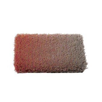 CSrugs Cameleon