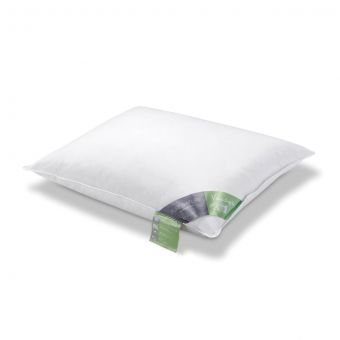 Vandyck Groen Label