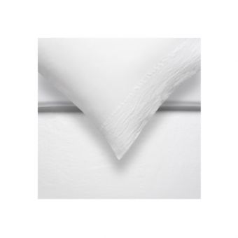 Vandyck Pure 07