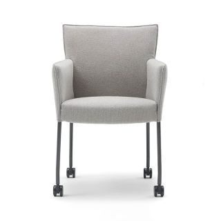 Design on Stock Amra