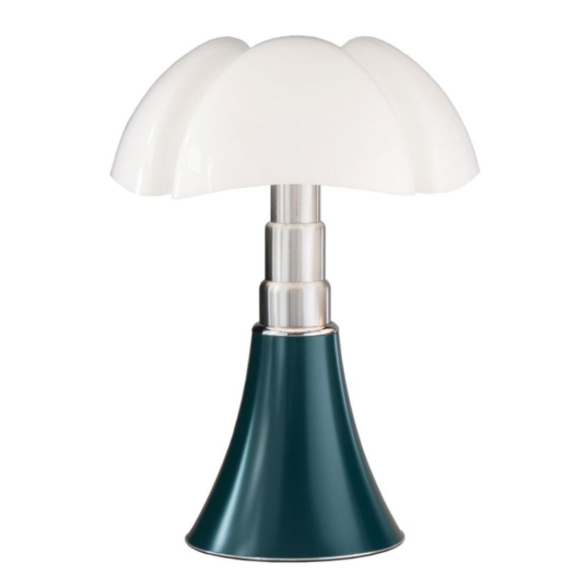 MHS_013066_PIPISTRELLO_7d588d2338537e2a74bcbfd315f77d1b_001