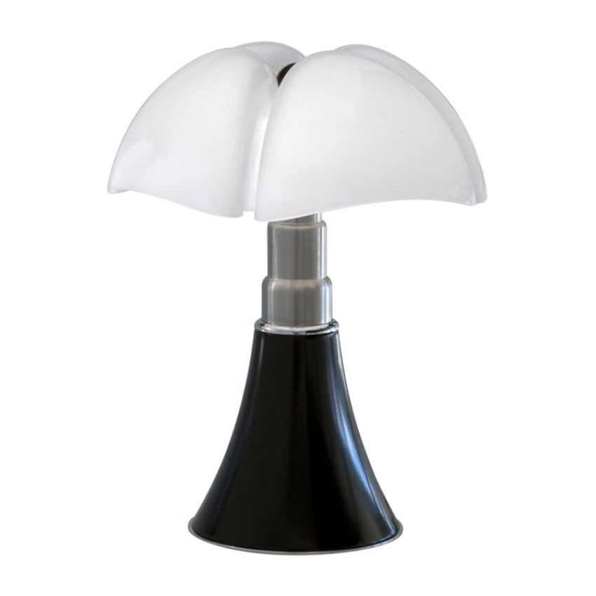 MHS_013066_PIPISTRELLO_8149e62b531e5eede53e98465e3d28ff_001