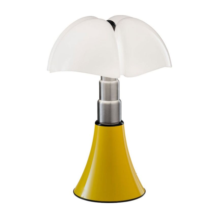 MHS_013066_PIPISTRELLO_b31d57e110fe2290484b8831d5f485a9_001