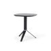 Montis Dante