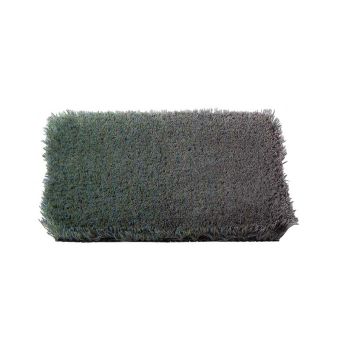 CSrugs Cameleon